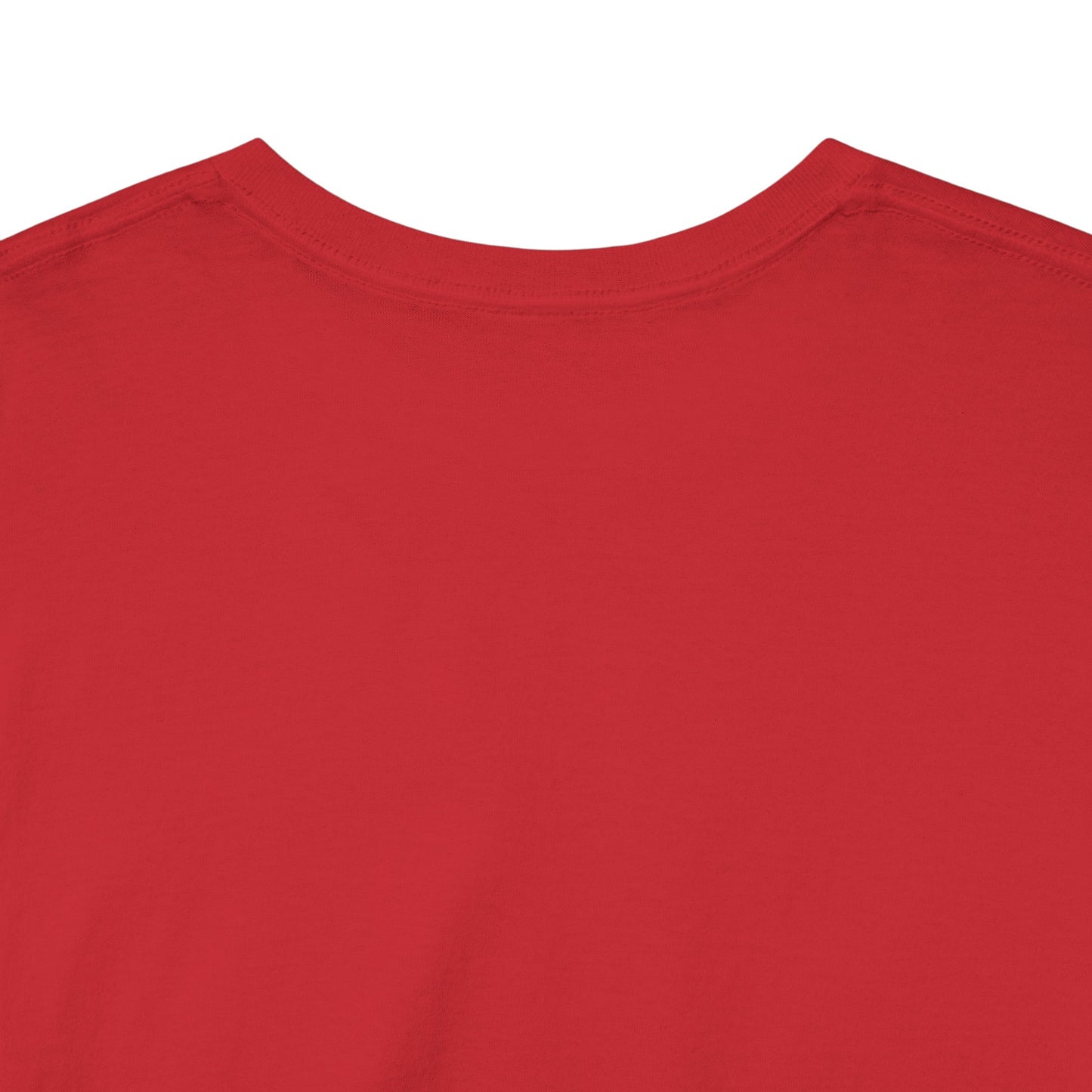 "Soul Singer" Unisex Heavy Cotton Tee